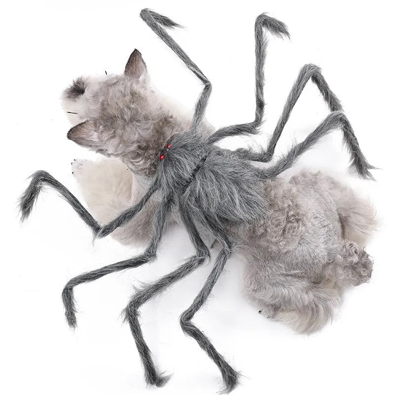 Halloween spider costume for a dog or cat on a grey background