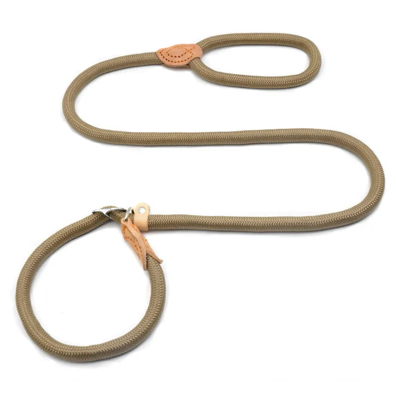 Blast race training 4-in-1 dog leash and automatically tightening collar set in multiple colour options