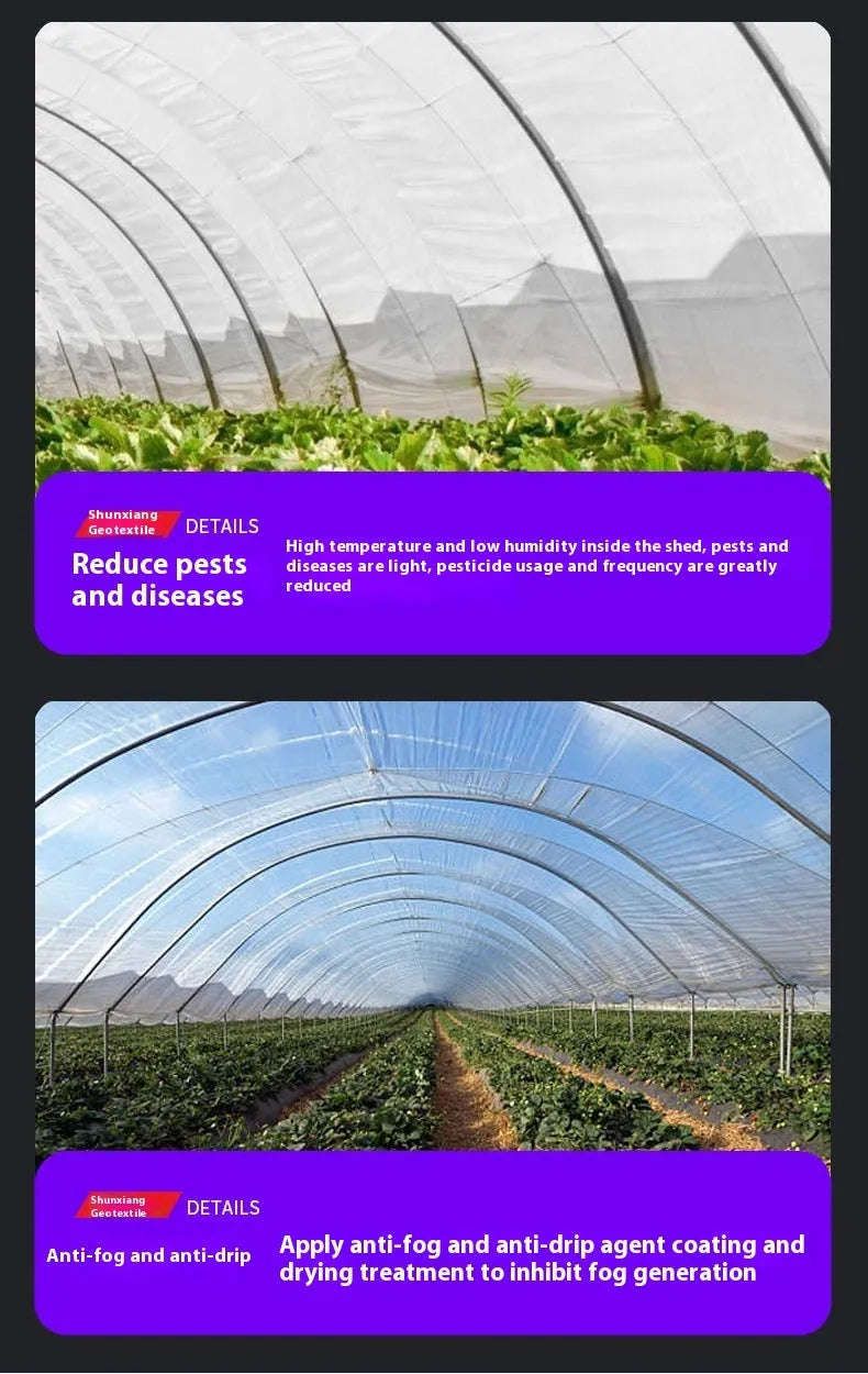 Plastic film greenhouse covering sheet measuring 4x8 metres for vegetable shed insulation