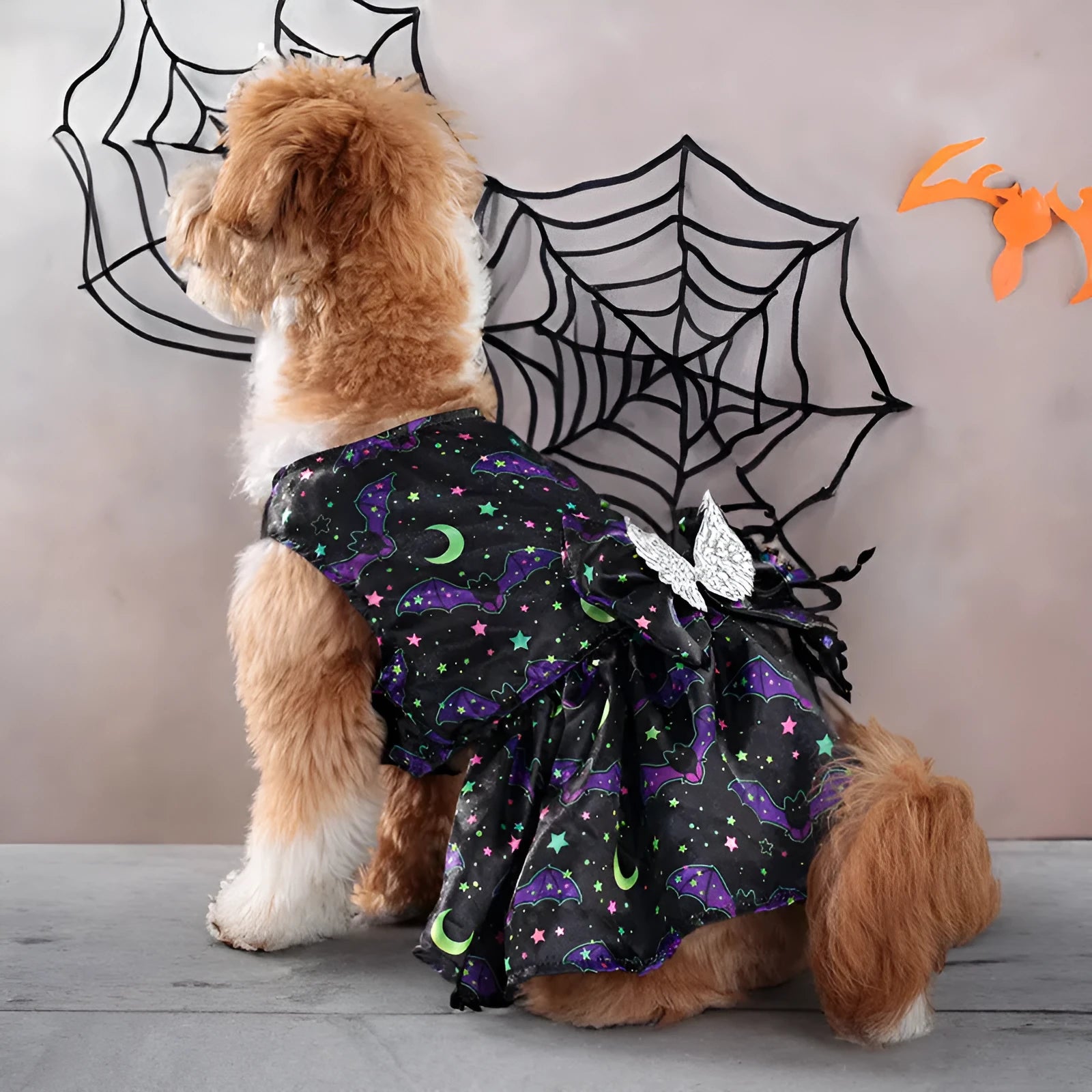 Angel wings Halloween dog costume in bright pumpkin colour with wing design for seasonal pet celebrations