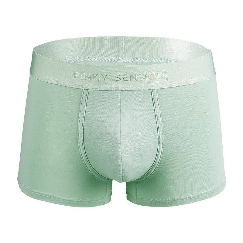 Men's cotton solid colour boxers in black, white, silver grey or light green in sizes L XL XXL