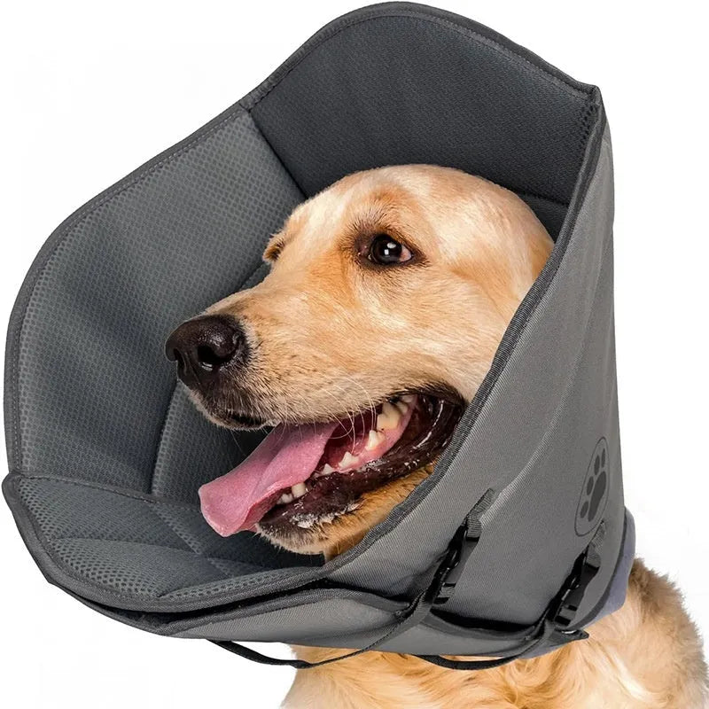 Adjustable polyester pet sterilization collar shown in three sizes L, M, XL for dog and cat recovery.