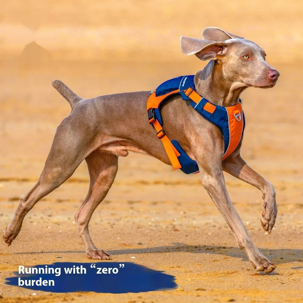 Orange blue dog chest strap vest harness with hand rope leash on adjustable nylon construction