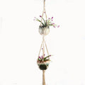 Woven wire plant basket with cotton rope material in desktop and wall hanging configurations