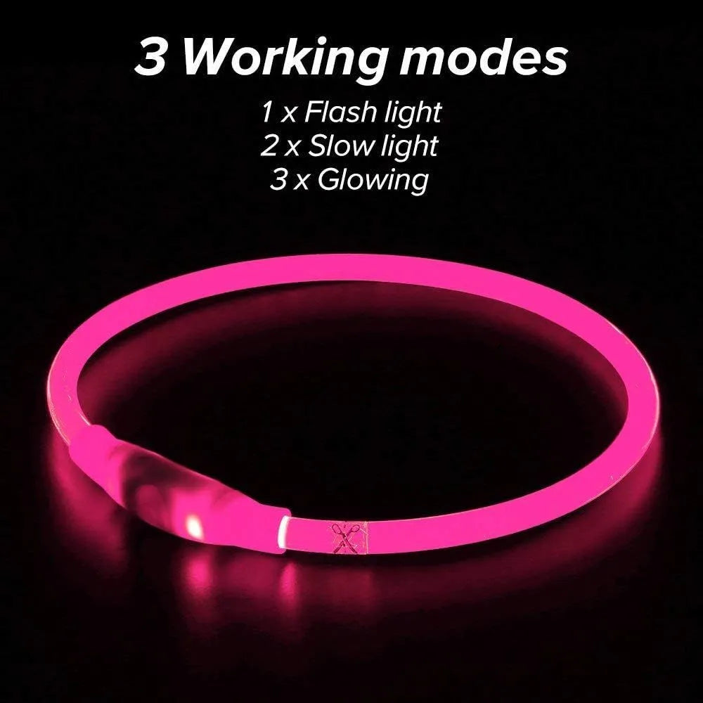 Blue USB-rechargeable LED dog collar glowing on a dog's neck, showing the 70cm adjustable TPU strap.
