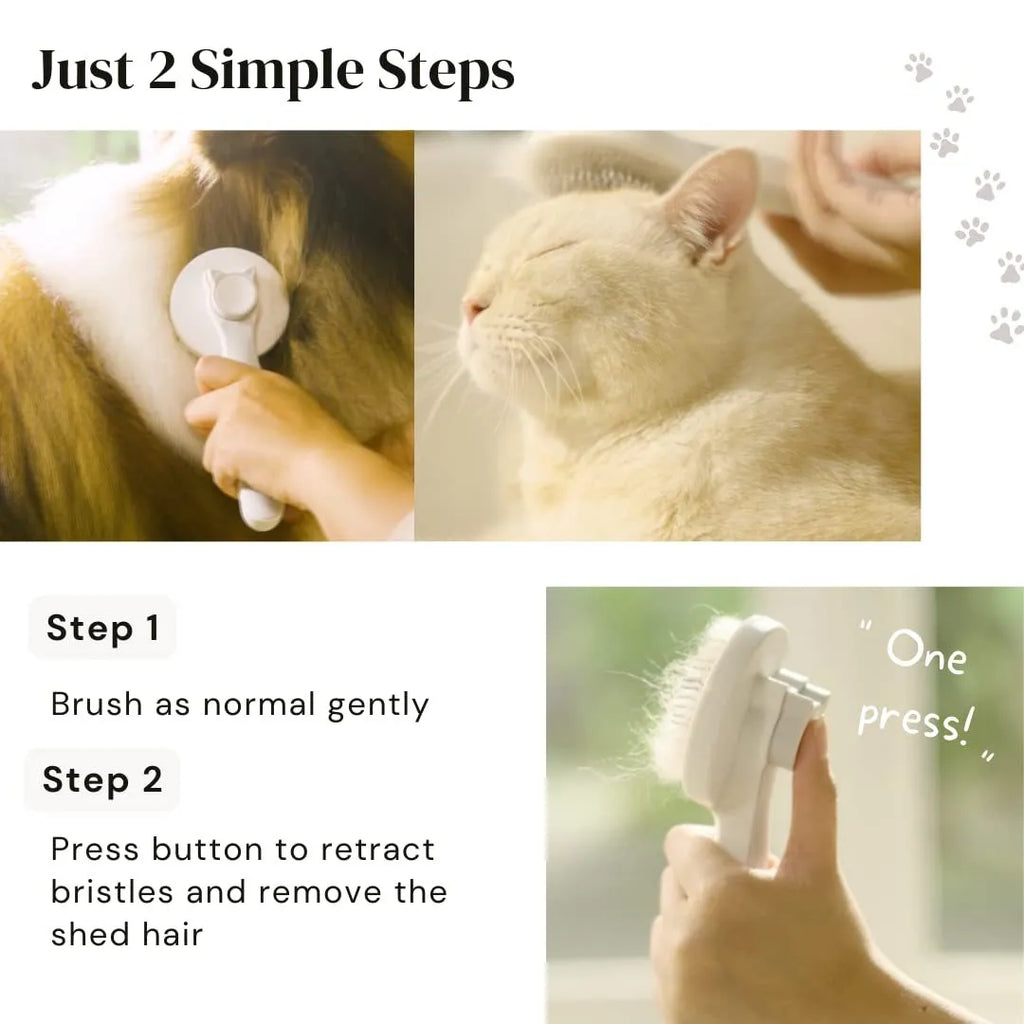 Blue self-cleaning slicker brush for dogs and cats on a wooden surface