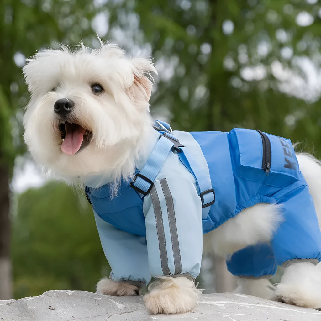 Autumn winter dog raincoat for small medium dogs windproof waterproof four-legged cotton coat with reflective stripes blue colour