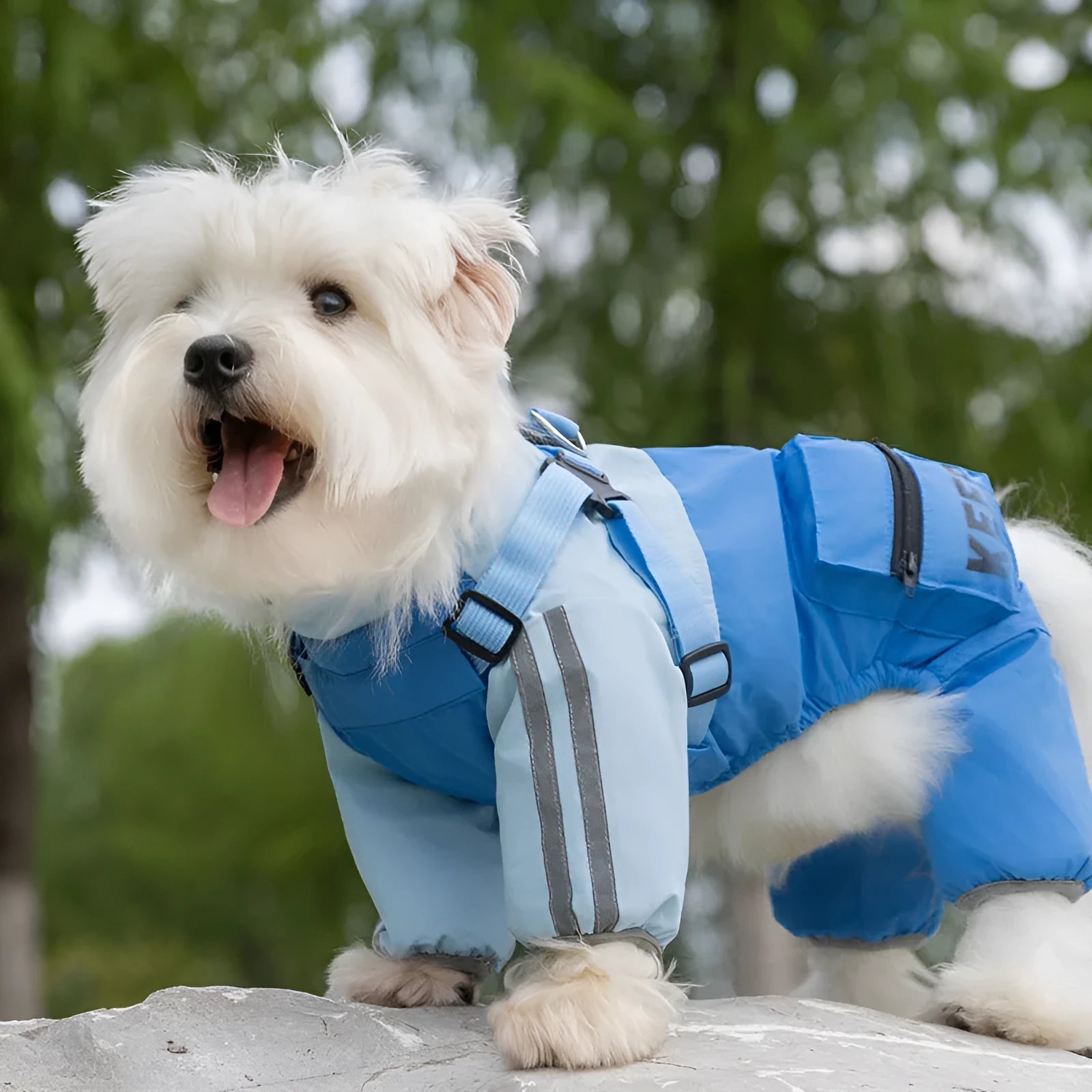 Autumn winter dog raincoat for small medium dogs windproof waterproof four-legged cotton coat with reflective stripes blue colour