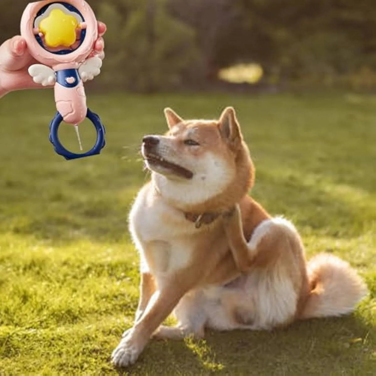 Four interactive dog toys for dental care and boredom, showing durable construction and safety features