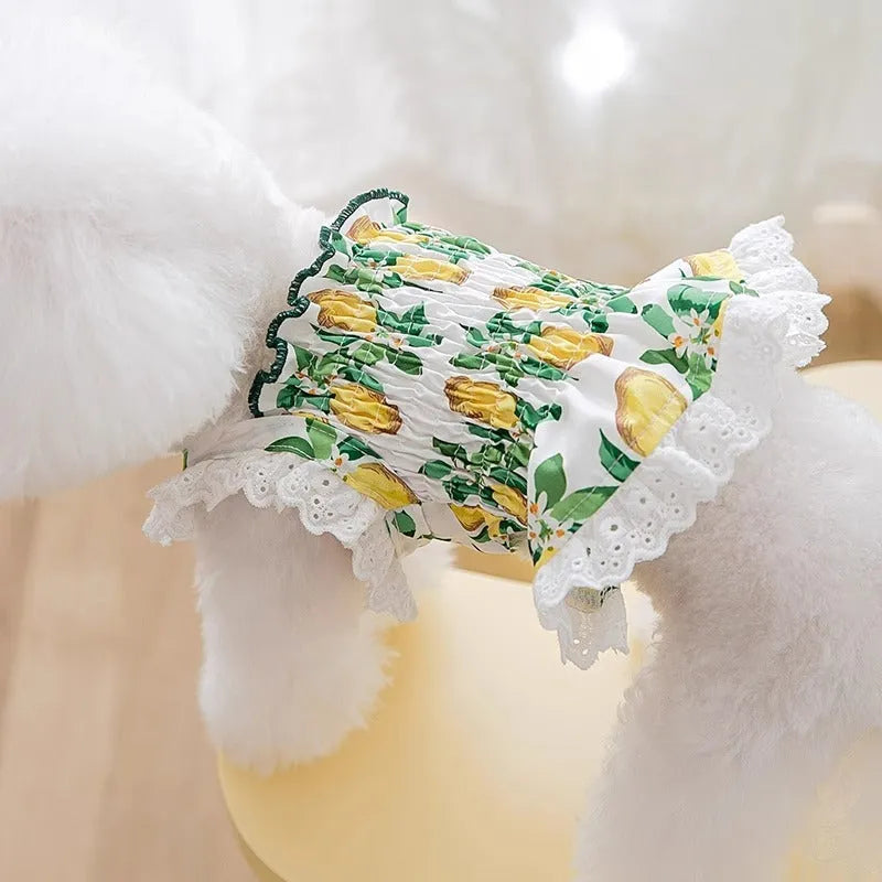 Rock yellow lemon polyester dog dress with thin breathable strap skirt in princess style