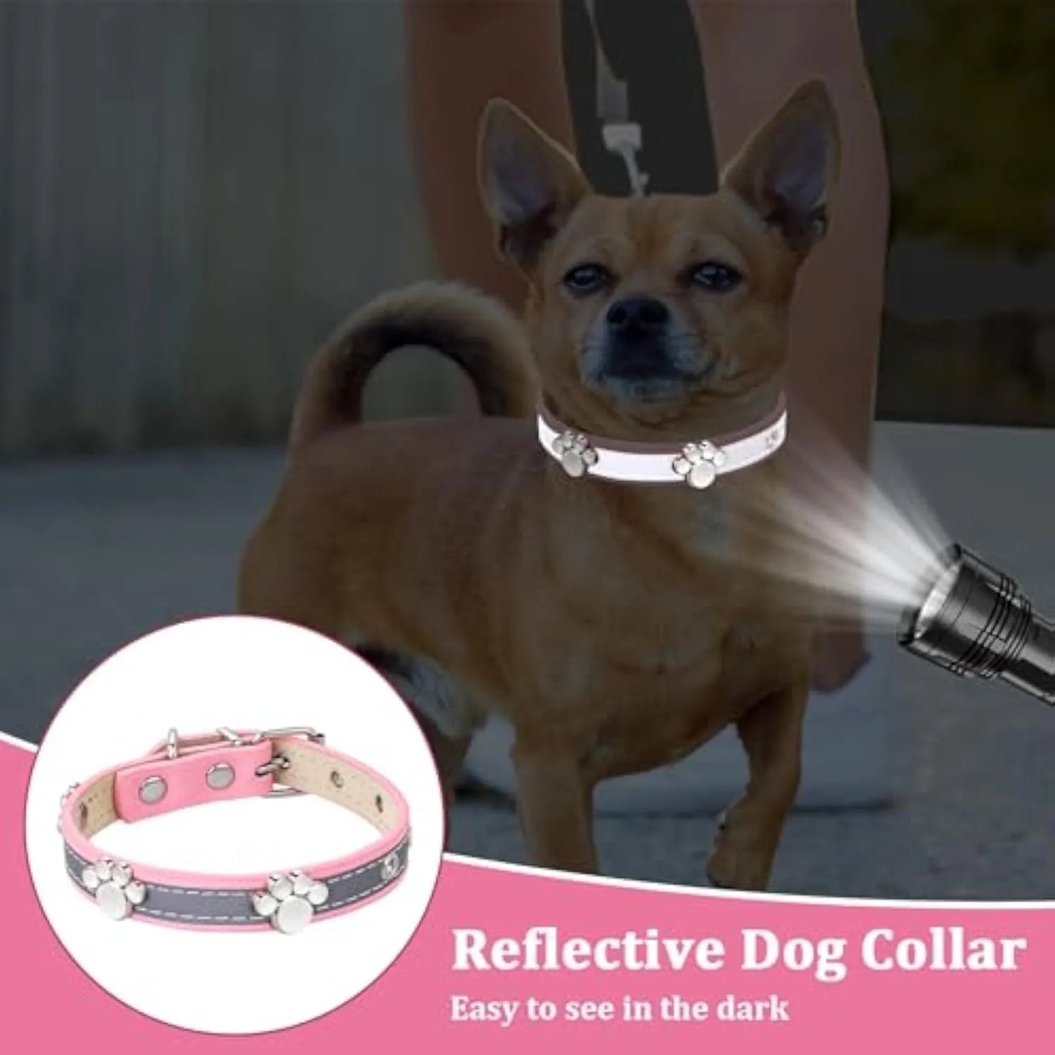 Reflective leather dog collar with a metal paw rivet, shown on an adjustable buckle.