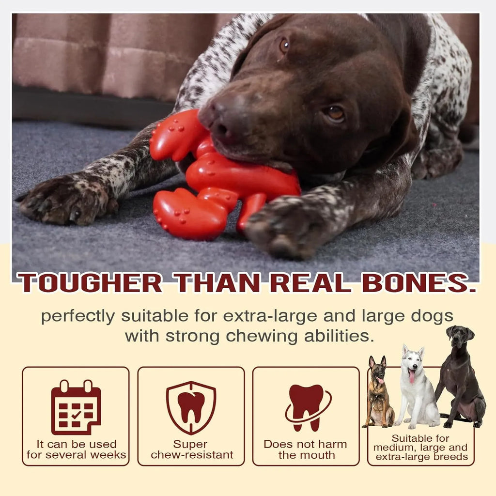 Red nylon chew bone for large dogs, dimensions 170 x 132 x 57 mm