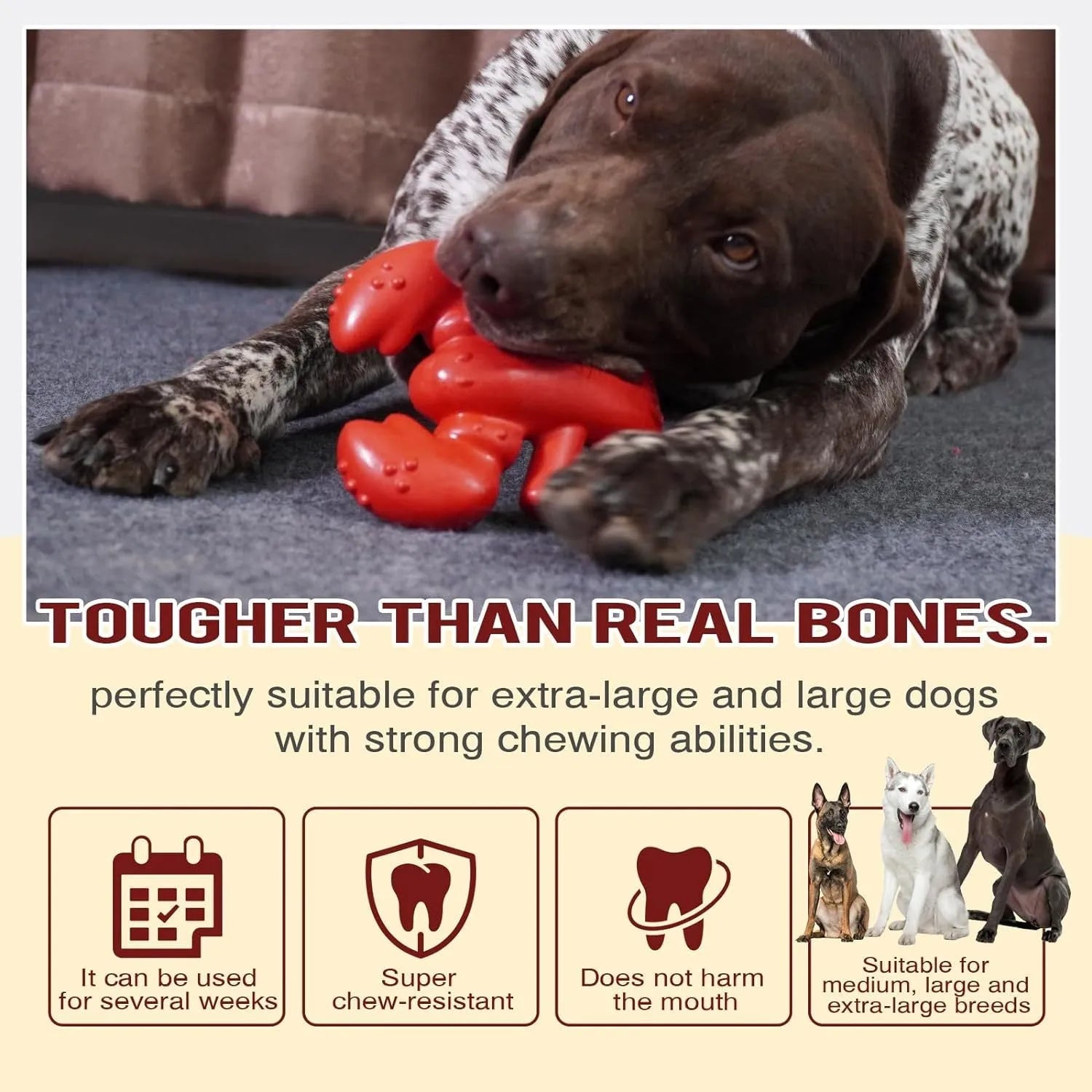 Red nylon chew bone for large dogs, dimensions 170 x 132 x 57 mm