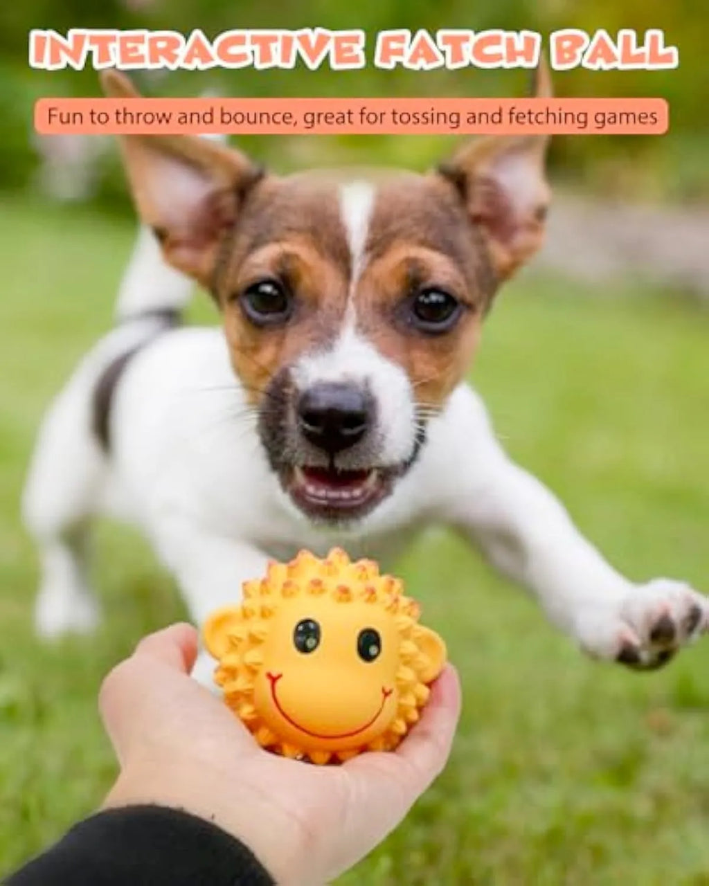 Orange and yellow spiky squeaky dog toy with animal design for small medium breeds