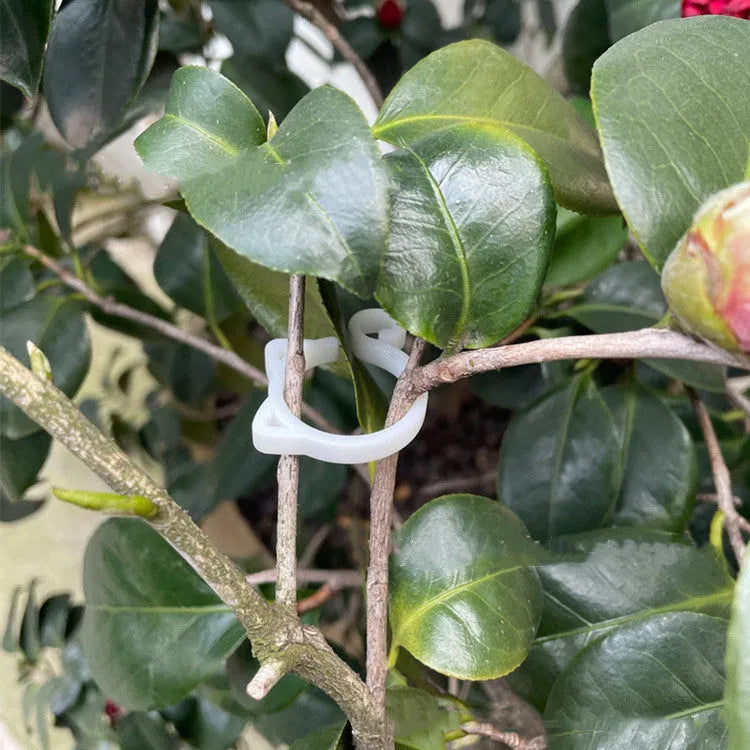 Small red plastic cat-shaped clip for holding plant stems, shown next to a leaf for scale.