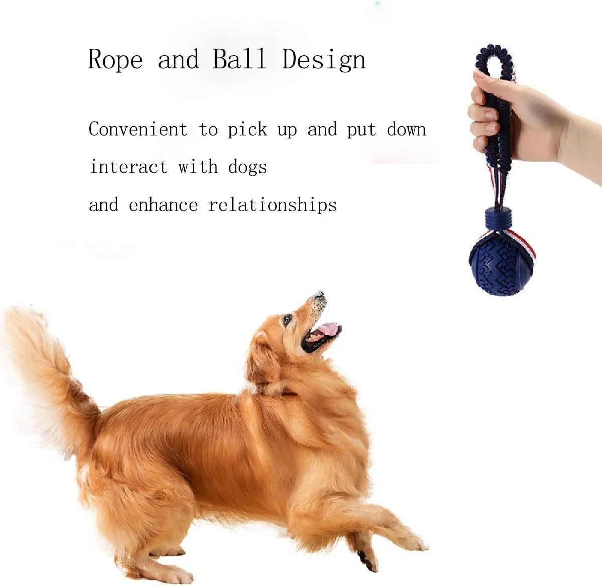Blue and red natural rubber dog ball with attached rope toy for medium and small breeds.