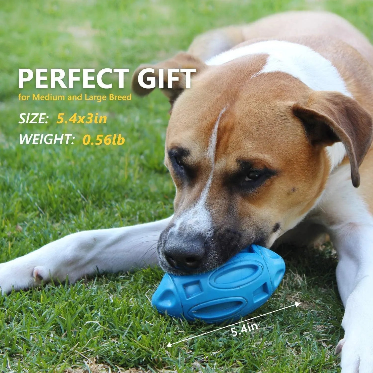 Blue durable natural rubber squeaky dog chew ball toy for aggressive chewers.