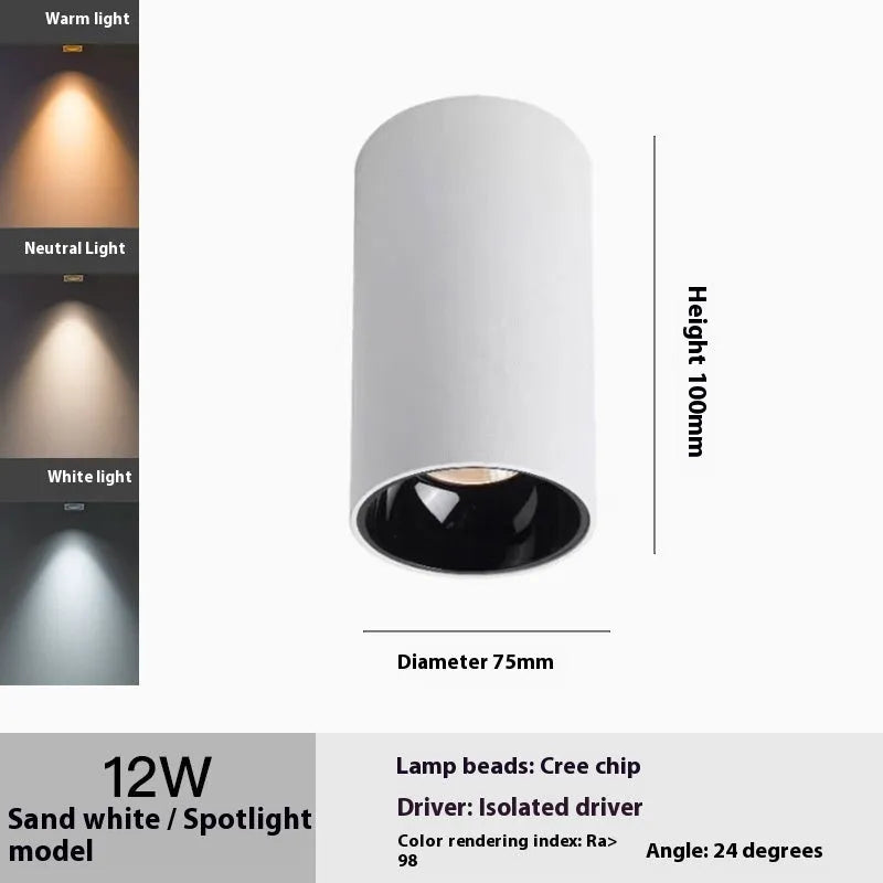 LED surface mounted spotlight in aluminium with anti-glare design, shown in all-black or white and black finish