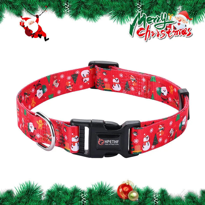 Christmas red polyester dog collar and hand holding rope set on a festive background