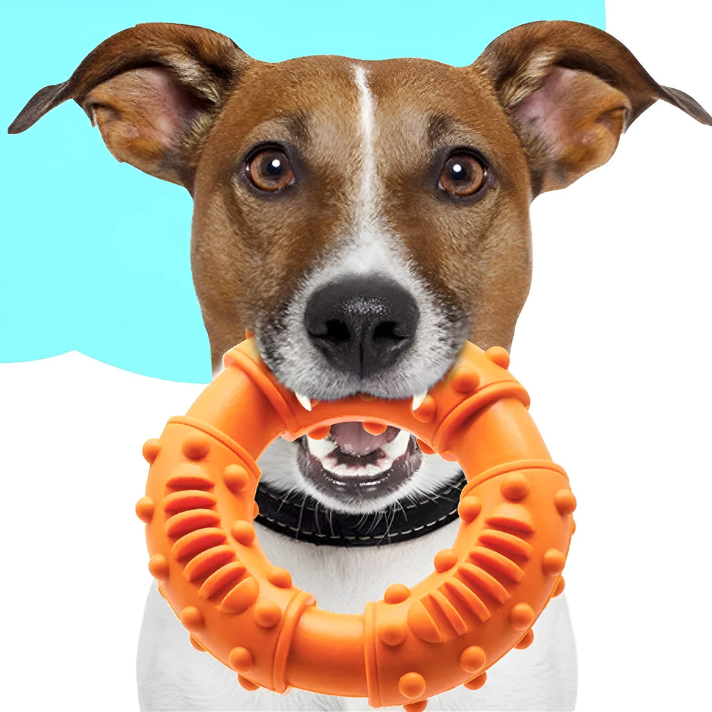 Blue hollow dog fetching stick toy with lightweight floatable design for fetch games