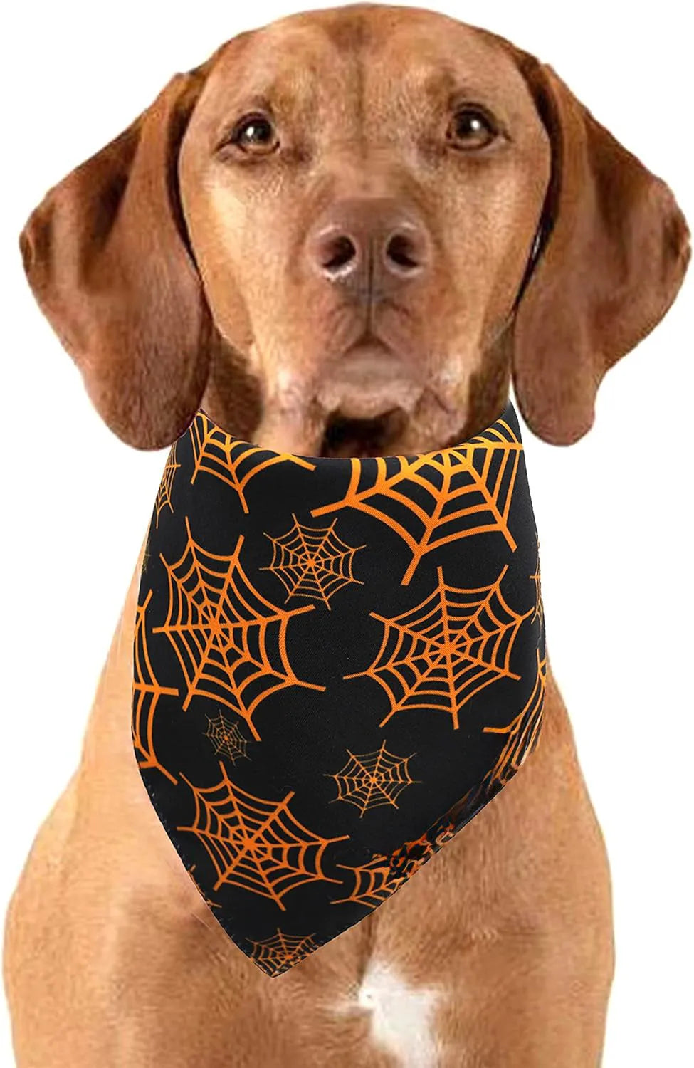 Black and orange reversible Halloween dog bandana showing pumpkin and spider web patterns with adjustable neck closure