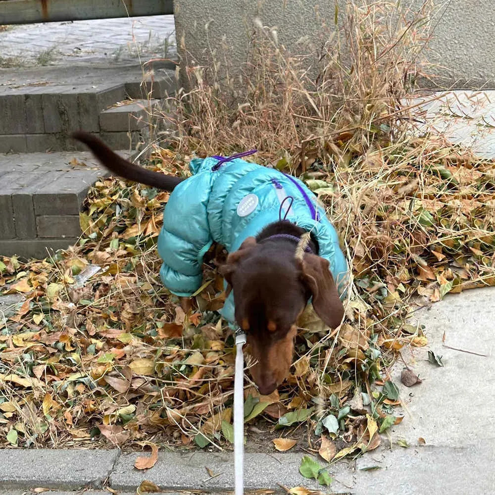 Blue four-legged pet thermal cotton coat with S to XXL size options for autumn and winter