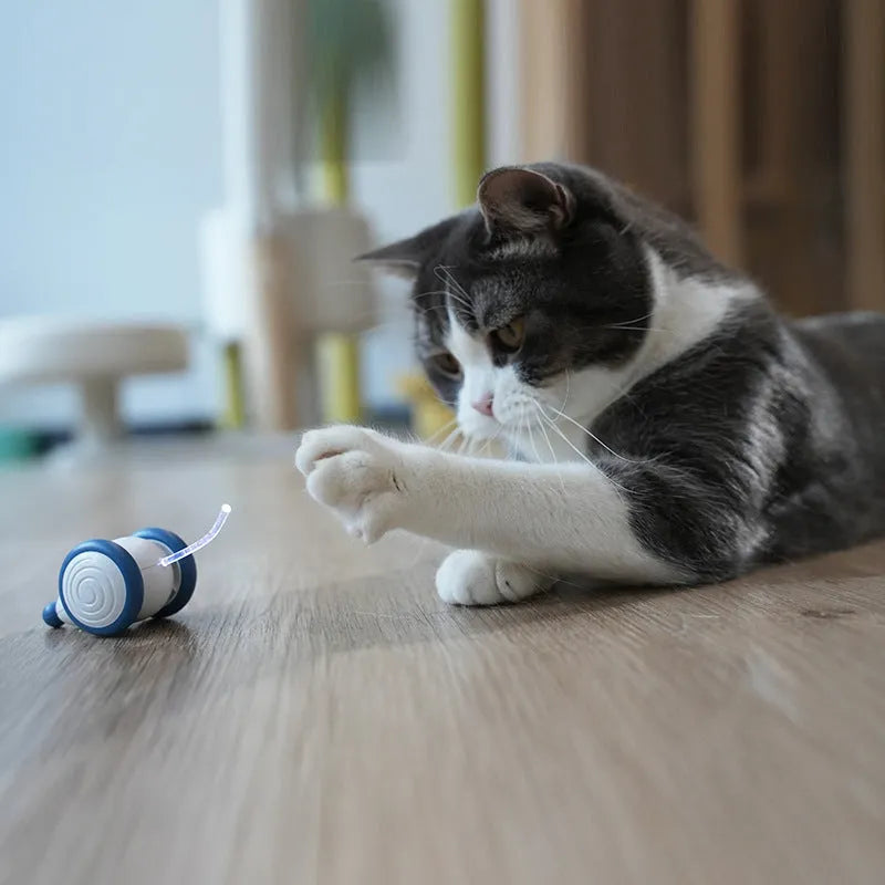 Blue and yellow automatic electric cat mouse toy with USB charging, 60x50x36mm body and 135mAh battery
