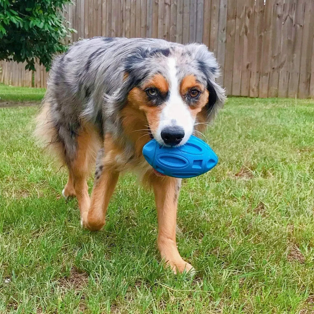 Blue durable natural rubber squeaky dog chew ball toy for aggressive chewers.