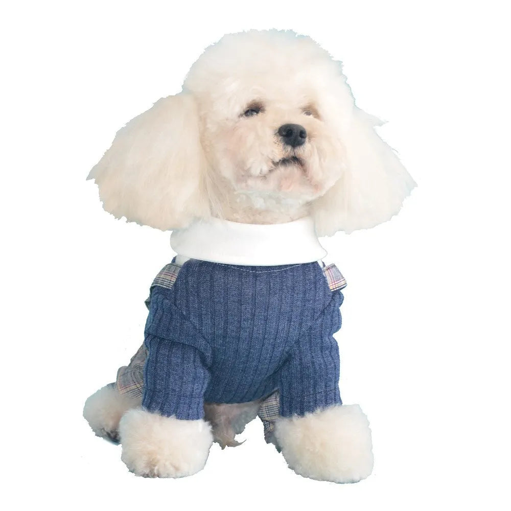 A small dog wearing a dark blue cotton shirt, showing the standard shirt fit on a pet.