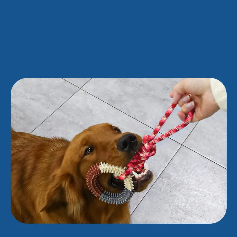Blue braided rope dog toy with a central knot, shown next to a red and rose red version.