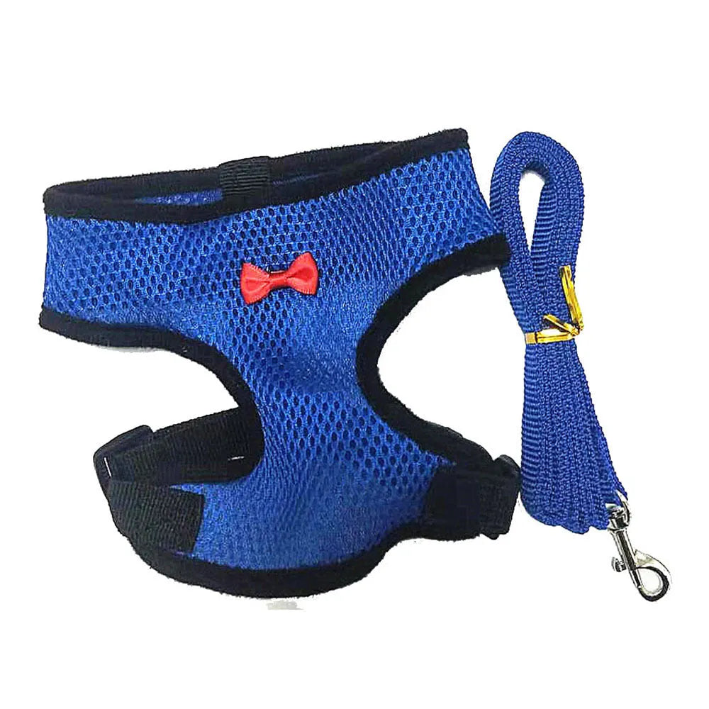 Coloured poultry vest harness and matching collar with bow set for chickens or ducks, shown with a 110cm lead rope.