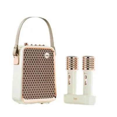 Dual microphone Bluetooth speaker suit in green or white with one audio unit and two microphones for karaoke