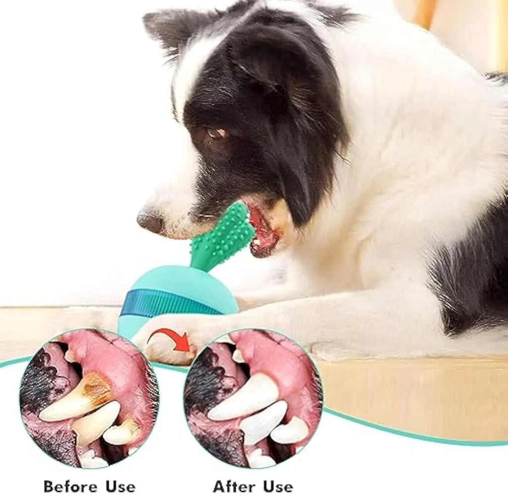 Blue durable rubber treat dispensing tumbler ball dog toy for medium large breeds