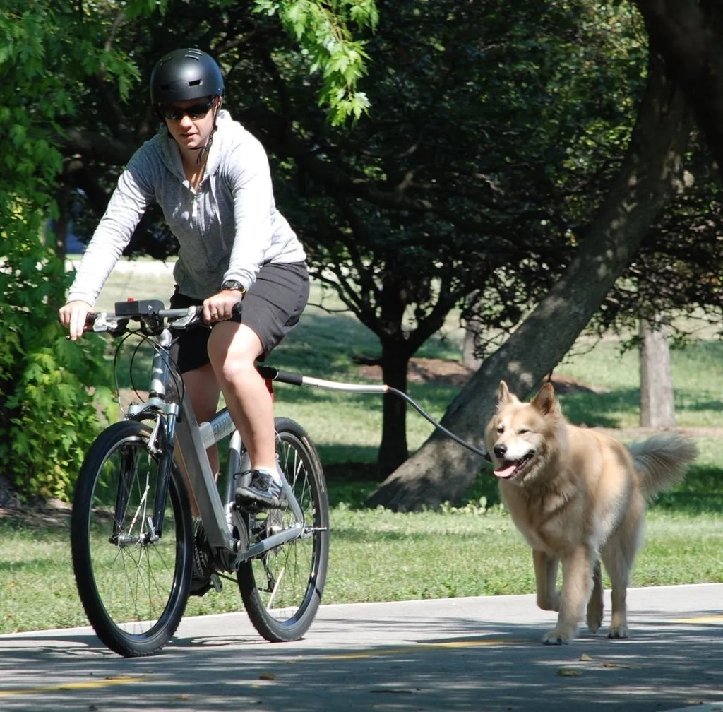 Bicycle dog walking hand holding rope pet traction lead with stainless steel chain ring on white background