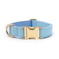 Leather dog collar with colour-block velvet design shown in multiple colour options