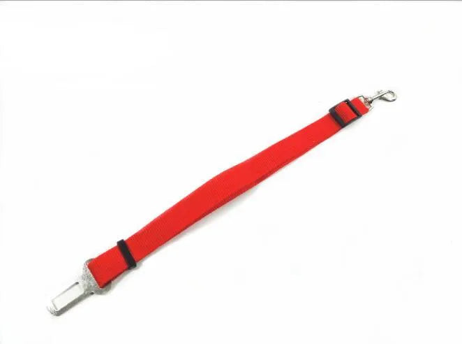 Adjustable dog car safety seat belt restraint in orange, 2.5cm width