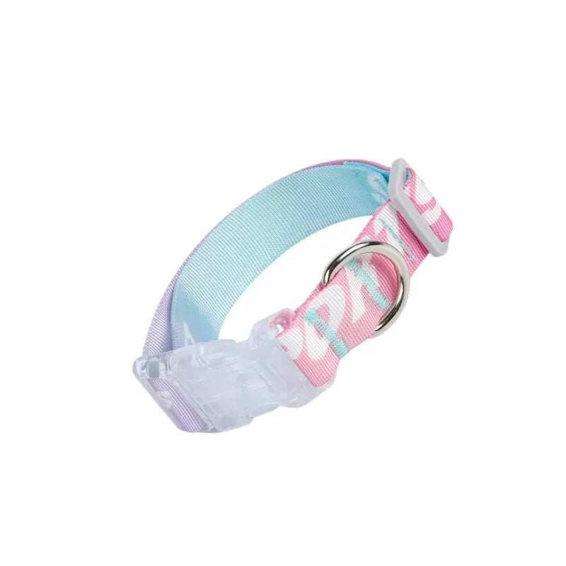 Panda Green and multi-colour gradient adjustable nylon dog collar for small, medium, and large dogs.