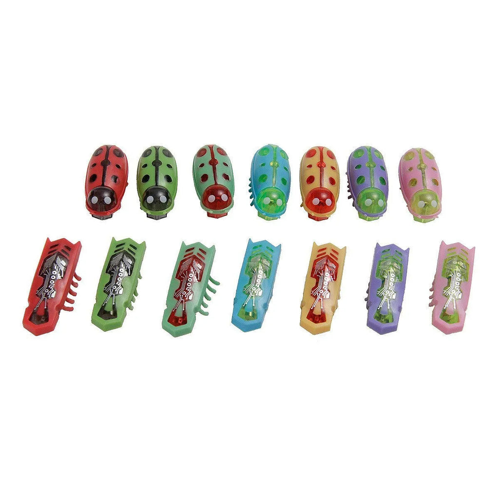 Electric toothbrush cat teaser toy with jumping insects design in ladybug and iron cow styles
