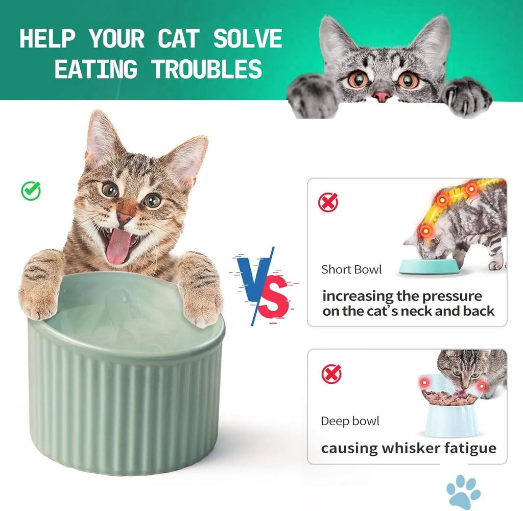 Elevated ceramic cat bowl in green, shown at a tilted angle to highlight its raised base and round feeding dish.