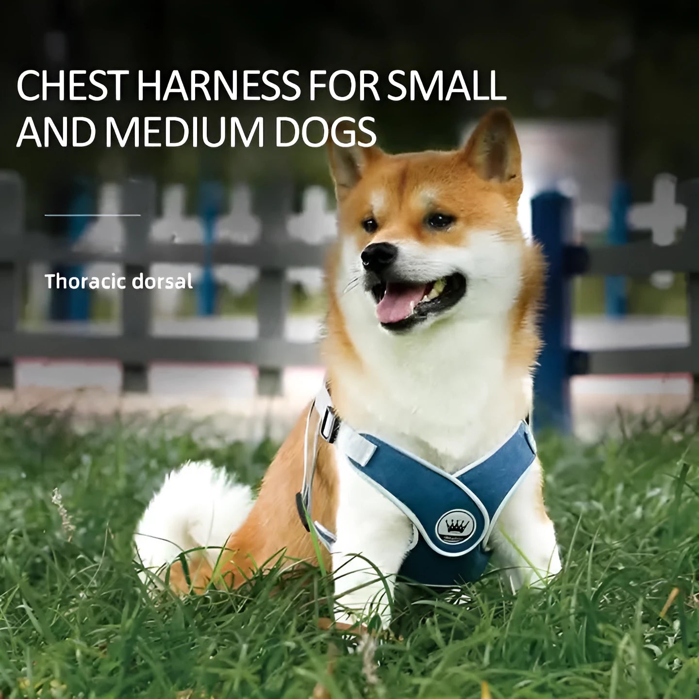 Adjustable dog harness with breathable mesh and chest strap in multiple colour options