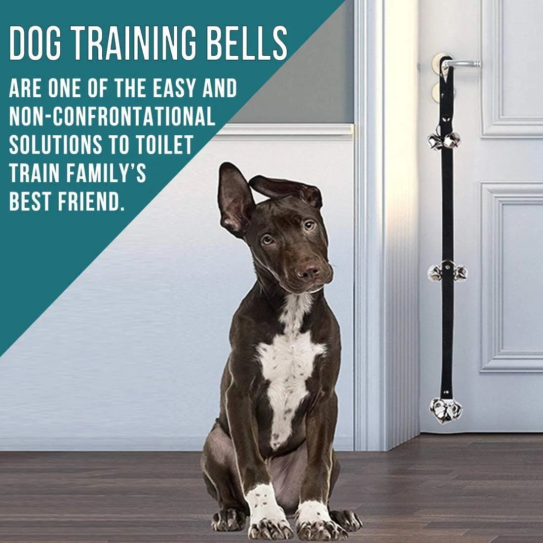 Seven silver metal dog training bells on an adjustable black nylon leash