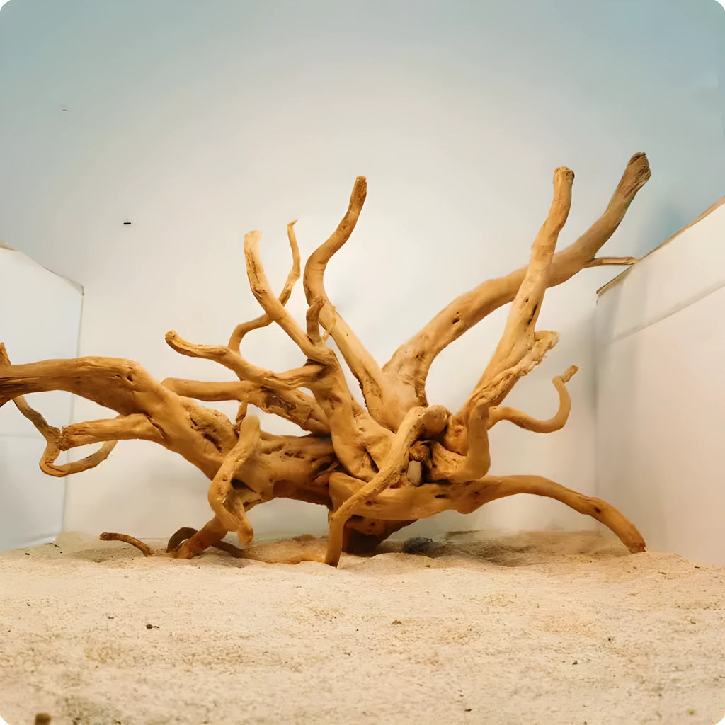 Xiaoqi root natural wood aquarium ornament for fish tank hardscaping.