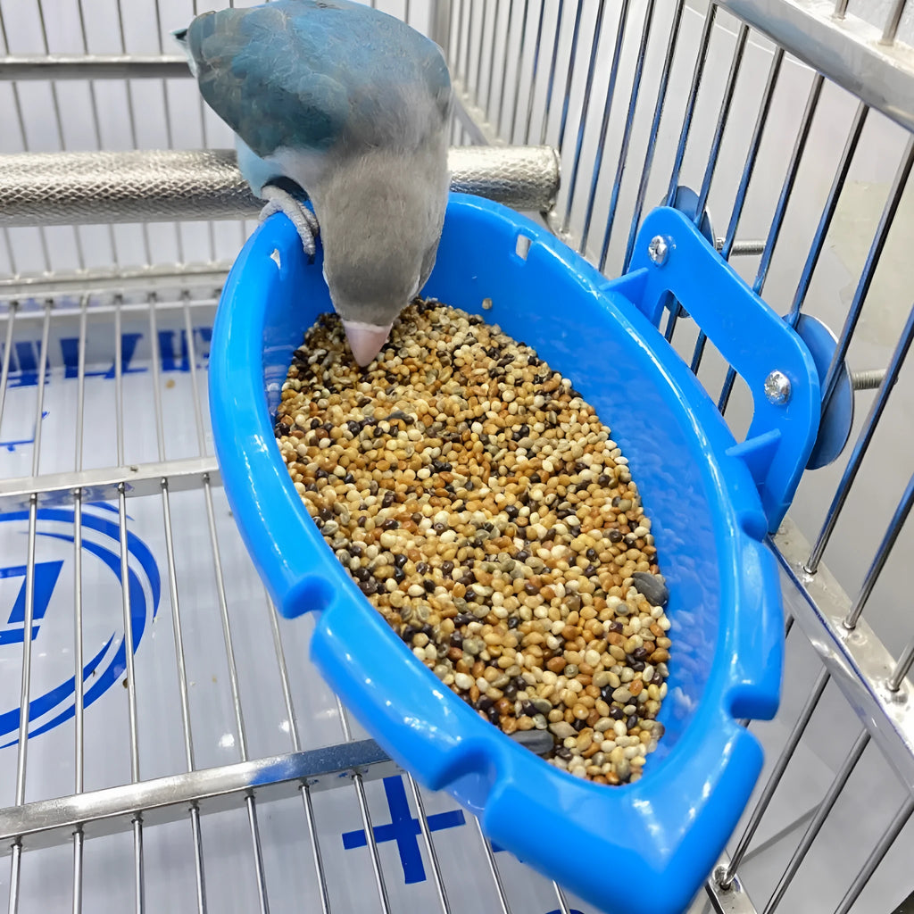 Multifunctional plastic bird bath and feeder box for birds, shown with optional rattan balls or plastic balls.