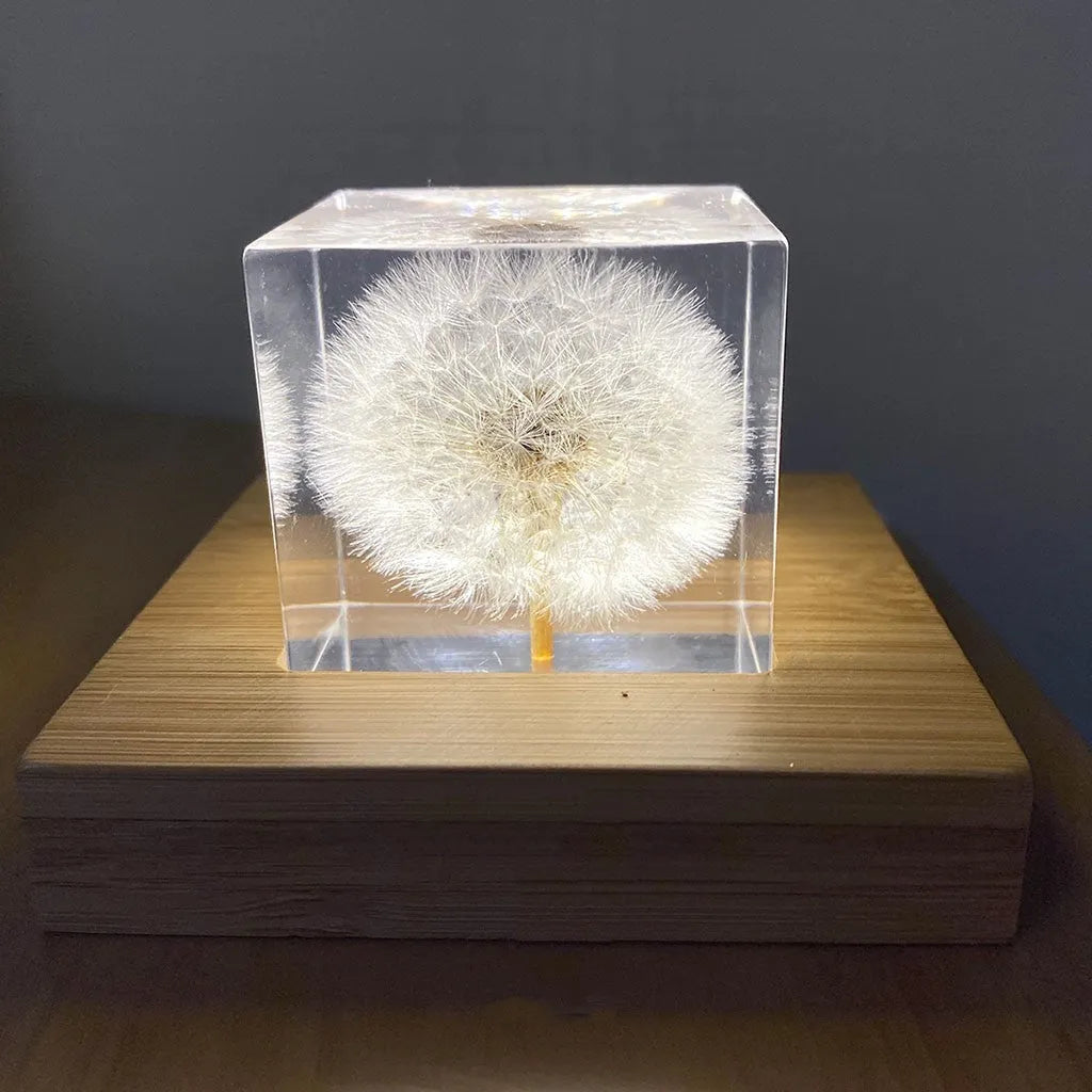 Clear 5cm resin cube containing a preserved white dandelion flower on a wooden USB charging base.