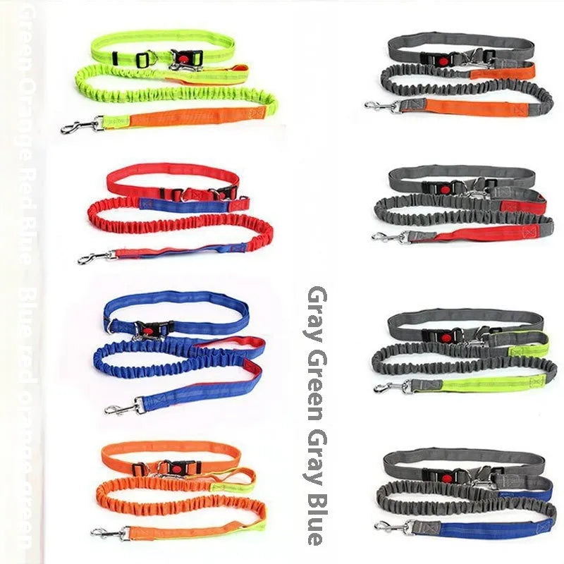 Grey and red reflective elastic dog leash for outdoor running held in a person's hand.