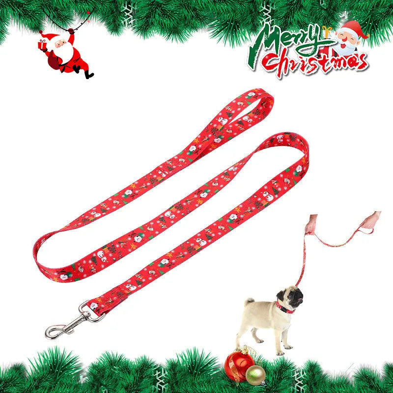 Christmas red polyester dog collar and hand holding rope set on a festive background
