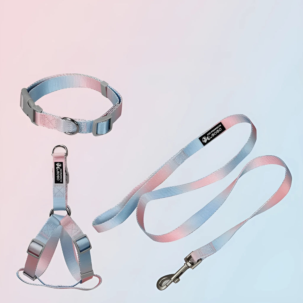 Nylon dog leash in a pink and blue gradient colour pattern.