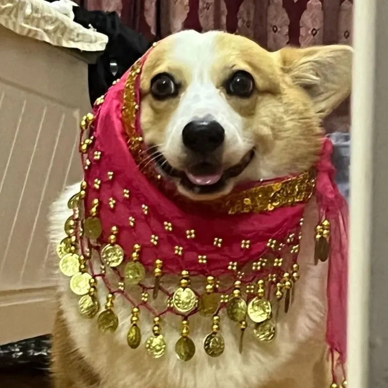 Belly dance waist chain with cloth base and metal sequins in multiple colours including rose red and bright red, with fringe design