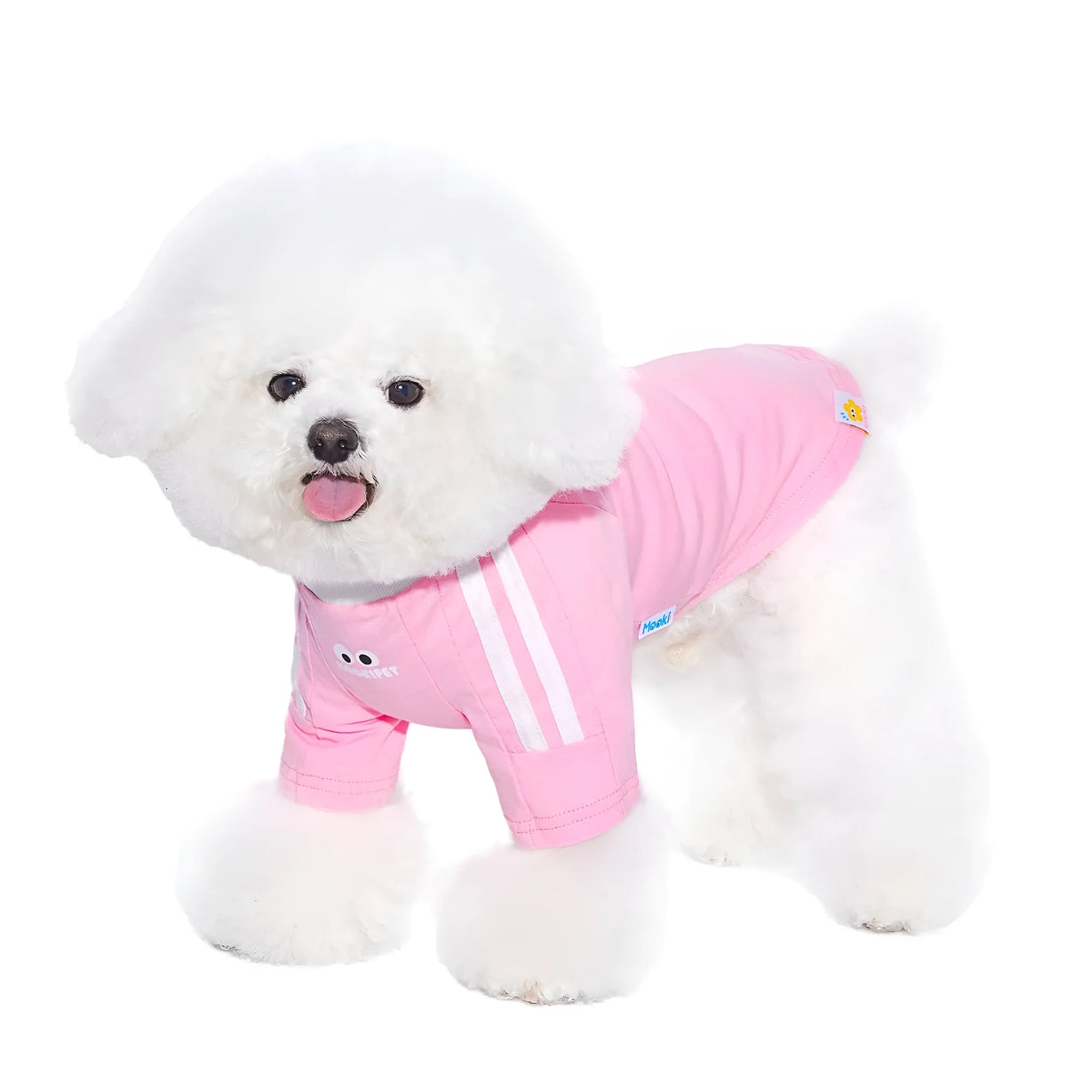 Thin pink or blue pet clothing for Schnauzers, small dogs and cats, 95% cotton 5% spandex, sizes XXS to XXL