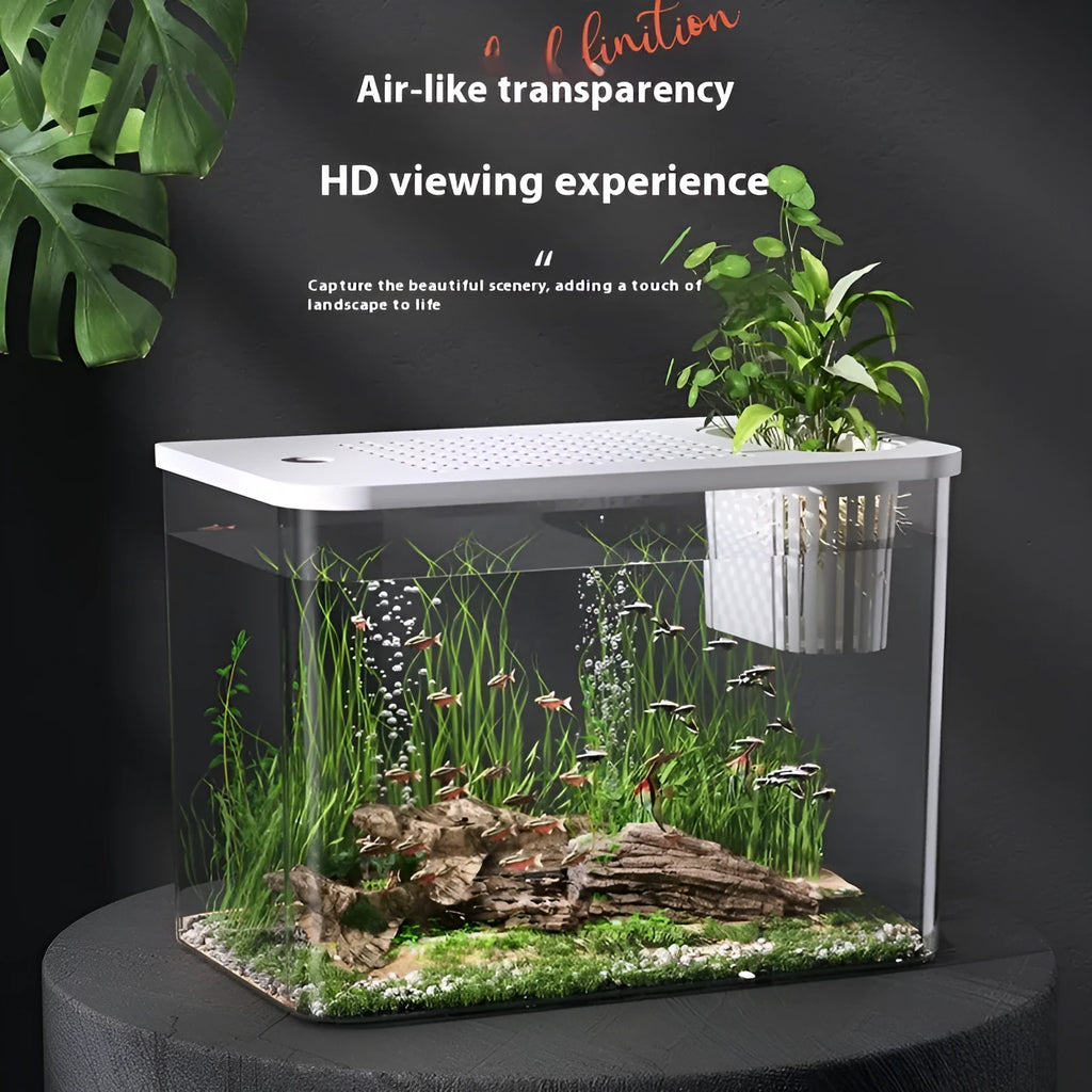 Plastic betta fish tank with cover in medium 32x18.5x23cm size black and white options